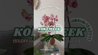 A kokeweek está no ar De 13 a 21 de novembro kokedamas kokedama plantas [upl. by Malamut329]