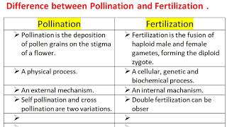 Difference Between Pollination and Fertilization [upl. by Anerehs]