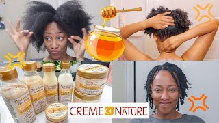 Mini Twists on 4C Hair  Creme of Nature Pure Honey  Wash Day  Natural Hair [upl. by Possing]