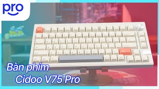 Phím cơ đỉnh nhất dưới 3 triệu đồng  Cidoo V75 Pro [upl. by Oakie]