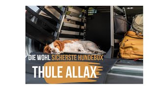 THULE Allax Hundebox die wohl sicherste Hundebox für den Kofferraum [upl. by Anadroj]