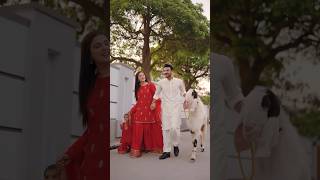 Kanwal Aftab And Zulqarnain On Eid Ul Adha [upl. by Yemiaj]