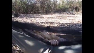 Yukon Outfitters hammock review and use [upl. by Nahtanha786]