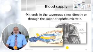 Elbromboly Basic ophthalmology IC Basic anatomy of the eye part II [upl. by Arber]