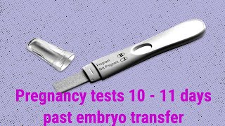 10 11 Days post embryo transfer pregnancy tests and BETA [upl. by Iny]