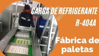 carga de refrigerante r404A por sobrecalentamiento a fabricadora de paletas [upl. by Shanks926]