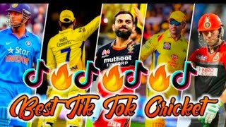 cricket tiktok video🔥🔥🔥 2024Ipl Dhoni 🔥😁😁 reel video editing [upl. by Hadias]