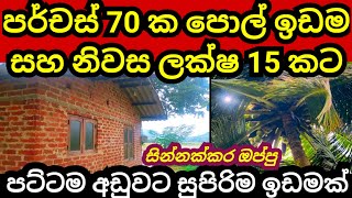 පර්චස් 70 ක සින්නක්කර ඉඩම හා නිවස ලක්ෂ 15 කට  Land for sale  Pol idam  Coconut land Aduwata idam [upl. by Gussman828]