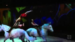 Cavalia A Magical Encounter Between a Human and Horse [upl. by Sirac]