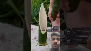 NEW invention WIND proof FLAME 🌬️🔥 Survival Skills survival bushcraft outdoors camping [upl. by Nida]