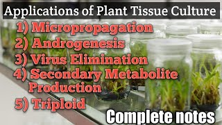 Different Applications of Plant Tissue Culture BSc 3rd Year Complete notes [upl. by Derfiniw]