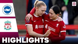 Liverpool vs Brighton  Highlights  FA Womens Super League 18022024 [upl. by Pain]