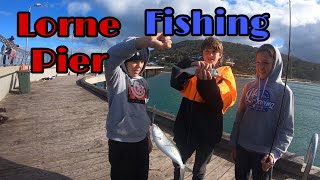 Lorne pier fishing [upl. by Aldas114]