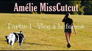 3 jours sur mon exploitation  VLOG  partie 1 👩‍🌾 [upl. by Sandberg]