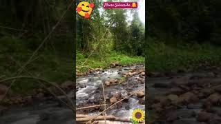 Relaxing Bathing PhilippinesWow Philippines Naturenature relaxing youtubeshorts [upl. by Yart446]