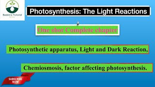 Photosynthesis in higher Plants  Complete in one shot  Neet 2025 [upl. by Kinsler]