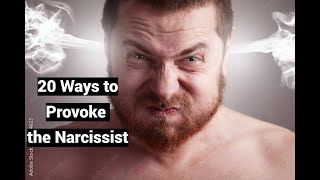 20 Ways to Provoke the Narcissist to Meltdown Tantrum Apoplexy [upl. by Gravante]