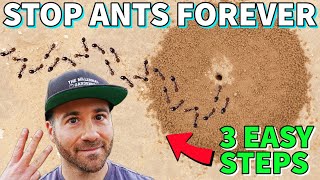 Make Your Yard ANT FREE FOREVER In 3 Easy Steps [upl. by Ellison]