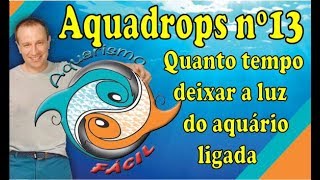 Aquadrops nº13 Quanto tempo deixar a luz do aquário ligada [upl. by Sibby929]