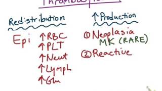 Thrombocytosis [upl. by Barthel692]