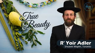 True Beauty  Rabbi Yoir Adler [upl. by Madelin774]