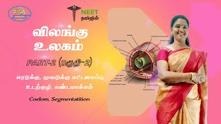 Animal Kingdom  Part 2  Coelom  Segmentation  NEET Tamil  NEET Biology [upl. by Siloa]