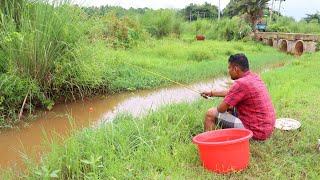 Fishing Video  Village boys know all kinds of fishing gear in canals  Fish catching trap [upl. by Dohsar]