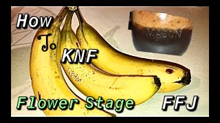 How To KNF  Korean Natural Farming and it’s Organic Inputs  Bloom FFJ with Banana [upl. by Notnel]