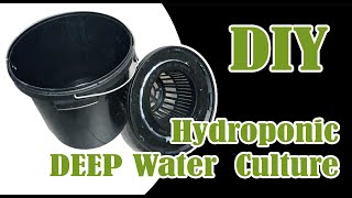 DIY Deep Water Culture Selbst bauen Hydroponic System [upl. by Anat115]