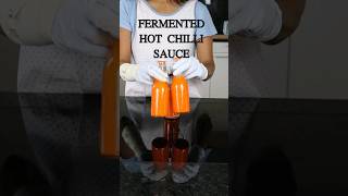 How to make Fermented Hot Chilli Sauce chilisauce [upl. by Noelle837]