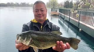 Big Bass  Washington Park in Colorado [upl. by Tennos]