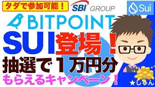 タダで、秒で参加可能！ビットポイント（BITPOINT）にSUI登場！抽選で１万円もらえるかもしれないキャンペーン [upl. by Iam191]