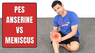 Pes Anserine Bursitis Vs Medial Meniscus Injury [upl. by Nyram]