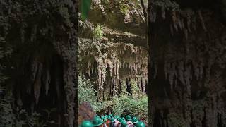 CAVE ADVENTURE  cavernas de camuy 🇵🇷 Puerto Rico shorts travel adventure [upl. by Megen510]