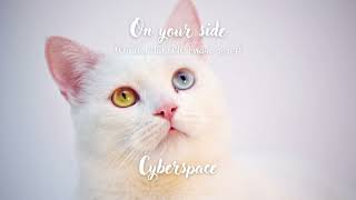 【Rawphoric】CyberspaceOn your side 猫のおなかイメージソング [upl. by Eed]