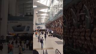 New Delhi Airport 🫰 short youtubeshorts delhiairport [upl. by Putscher327]