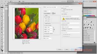 Use Printer Profiles Photoshop CS5 Canon Windows [upl. by Darrey430]