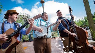 The Wild Roots Band At Dollywood Theme Park [upl. by Meehsar]