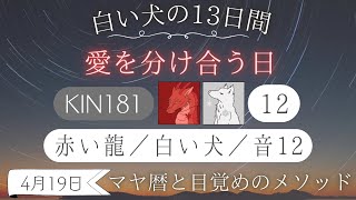 【マヤ暦 KIN181】今日の銀河のエネルギーについて｜キーワードと過ごし方（2024年4月19日） [upl. by Anneuq361]