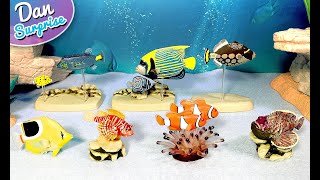 12 Fascinating Sea Animals 3D Puzzle Toys  Blue Tang Lion Fish Clownfish Stonefish Box Fish [upl. by Isadore]