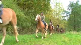 Ausreiten  Das Reiten im Gelände [upl. by Kingsbury]