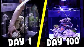 Creating a Reef Aquarium in 100 Days  Red Sea Max Nano G2 [upl. by Idette]