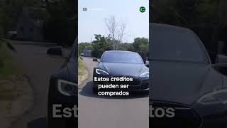 TESLA HACE NEGOCIO CON CONTAMINACIÓN [upl. by Junia]