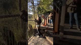 Cradle Mountain short trek cradlemountain tasmania trekking [upl. by Inail703]