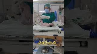 newborn baby clean process short video viral ♥️ [upl. by Matti]