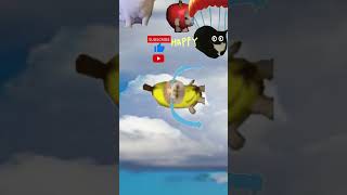 Banana Cat🍌🙀 Skydiving🪂 [upl. by Gusba]