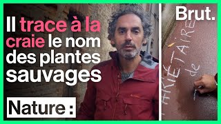 Toulouse  ce botaniste trace à la craie le nom des plantes sauvages [upl. by Tsyhtema]