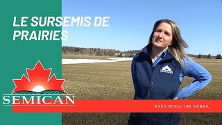 Le sursemis des prairies avec Roselyne Gobeil Agronome chez Semican [upl. by Dyrrej]