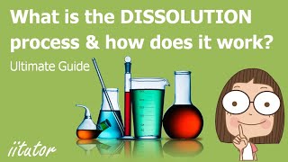 💯 What is the DISSOLUTION process and how does it work [upl. by Chatwin]