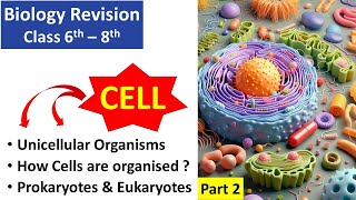 Cell part 2 of 2  Biology Revision  Class 6  8  Foundation Science [upl. by Eelaras]